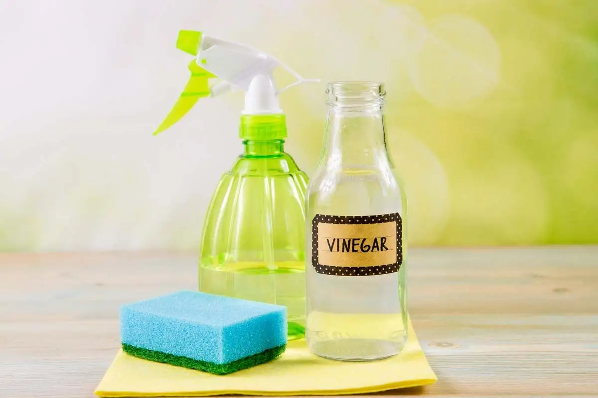 Prepara adesso lo spray anti-funghi con prodotti naturali che hai già in dispensa Prepara adesso lo spray anti-funghi con prodotti naturali che hai già in dispensa