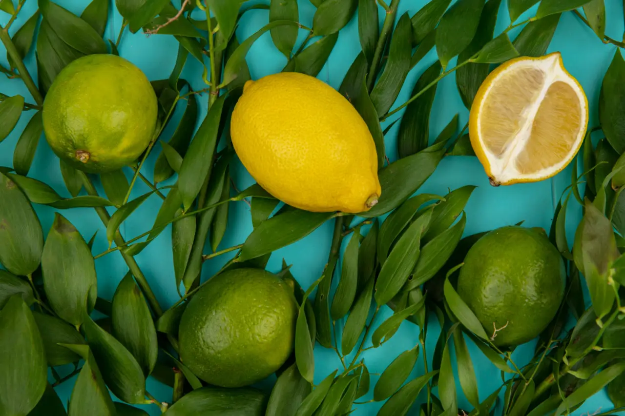 Sconfiggi la cocciniglia sul limone: tecnica naturale e veloce per salvare le foglie Sconfiggi la cocciniglia sul limone: tecnica naturale e veloce per salvare le foglie