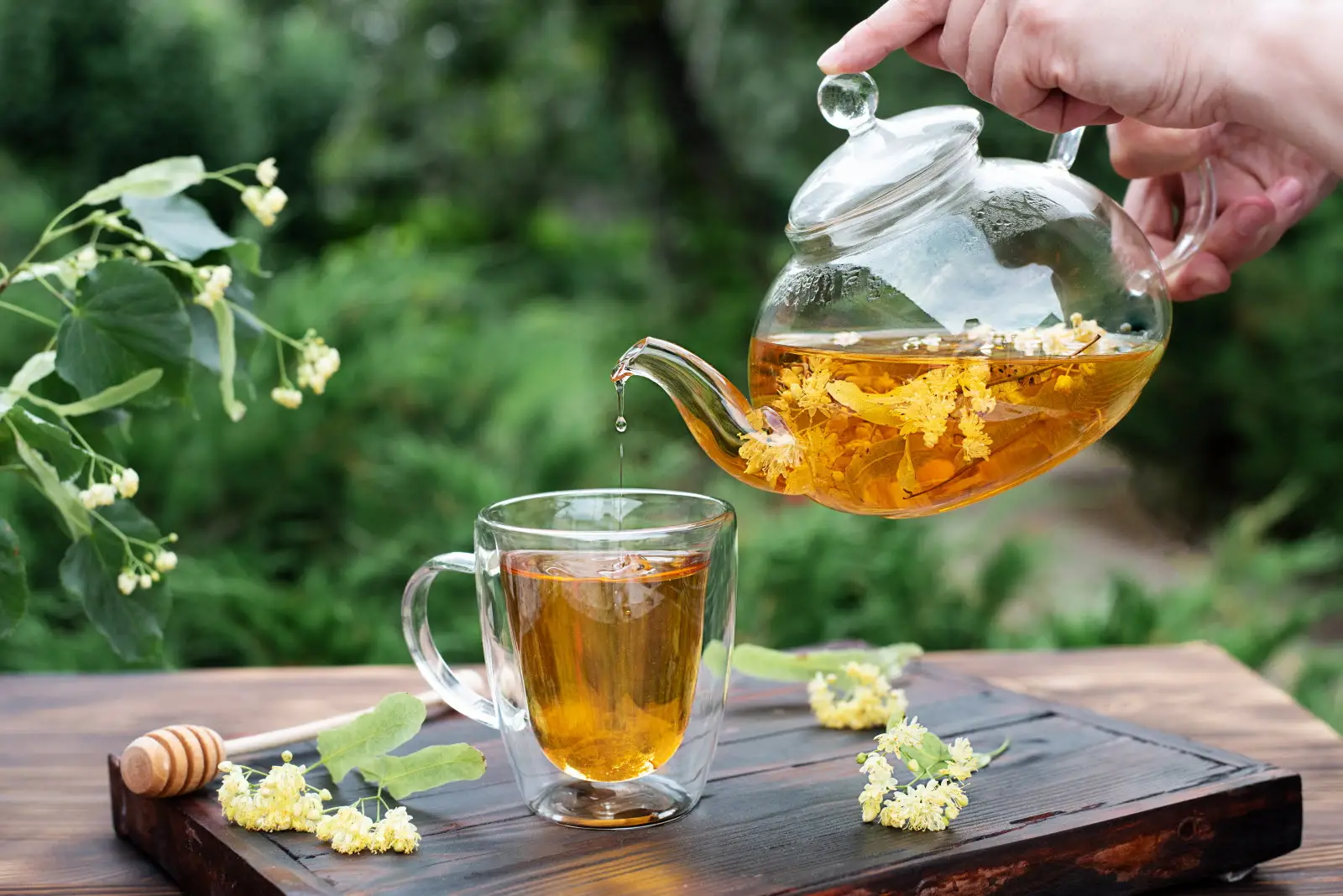 Nuova tendenza: gli infusi di fiori di sambuco per idratarsi naturalmente d'estate Nuova tendenza: gli infusi di fiori di sambuco per idratarsi naturalmente d'estate