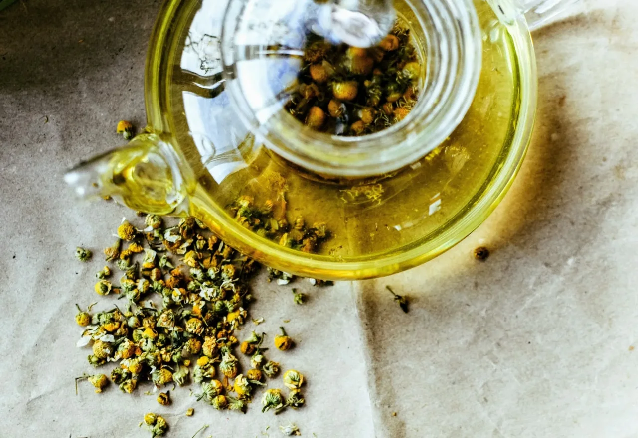 Nuova tendenza: gli infusi di fiori di sambuco per idratarsi naturalmente d'estate Nuova tendenza: gli infusi di fiori di sambuco per idratarsi naturalmente d'estate